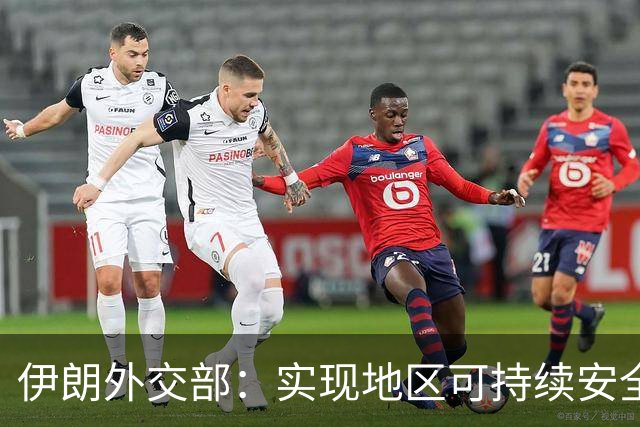 伊朗外交部：实现地区可持续安全需依靠各国信任与合作