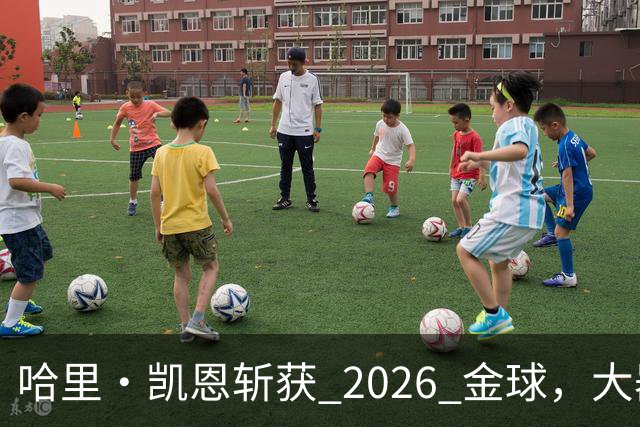 哈里・凯恩斩获 2026 金球，大器晚成终圆梦足坛个人最高荣誉