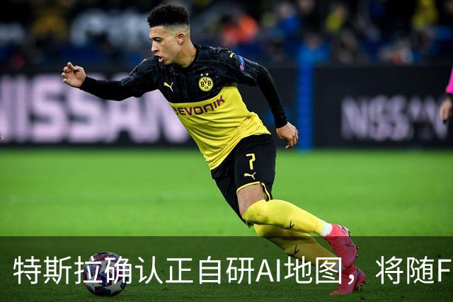 特斯拉确认正自研AI地图，将随FSD v15逐步推送