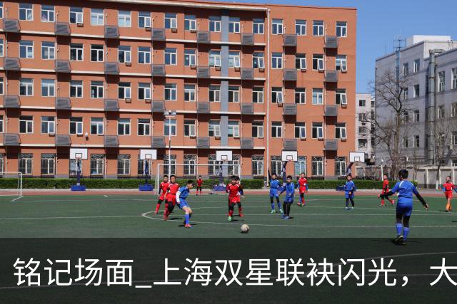 铭记场面 上海双星联袂闪光，大鲨鱼主场力克华南虎
